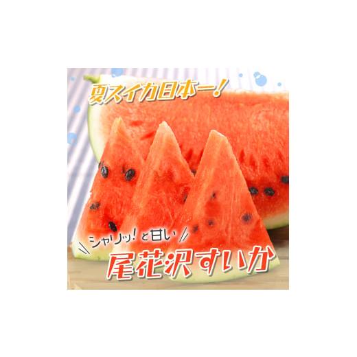 ふるさと納税 山形県 尾花沢市 先行予約 尾花沢すいか 5Lサイズ 約10kg×2玉 7月下旬〜8月10日頃発送 2024年産 令和6年産 JA ja-su5xx2