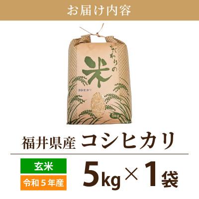 ふるさと納税 越前町 令和5年産　コシヒカリ(玄米)　5kg