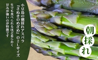 小豆島の朝採れアスパラ 『さぬきのめざめ』２Lサイズ１kg　配送期間：２月中旬～５月中旬まで