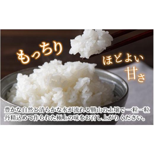 ふるさと納税 福井県 勝山市 『定期便』 令和5年産 新米 勝山のお米コシヒカリ5kg 全12回 [J-010020]