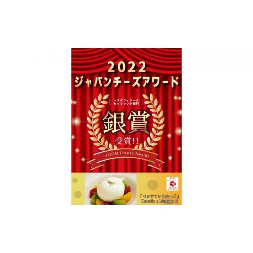 ふるさと納税 神奈川県 茅ヶ崎市 チーズ 詰め合わせ 出来立て 幻のブッラータチーズ×2個 モッツァレラチーズ×2個 セット