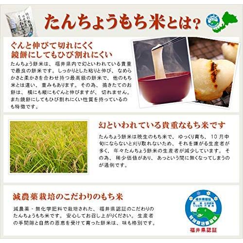 発芽玄米 もち米 タンチョウ 特別栽培米 減農薬 無化学肥料 福井県産 1.5kg