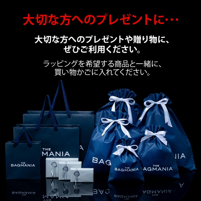 【可愛いパドロックキー付き】LOUISVUITTON★折り畳み財布 パドロックが大人可愛い♪】ルイヴィトン ロウキー ミニ財布