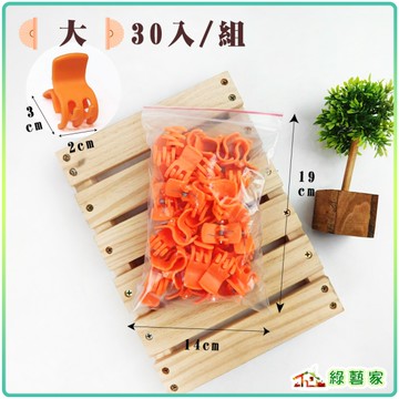 【綠藝家】橘色嫁接夾(蘭花夾.固定夾)-(大)30入/組
