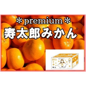 [予約 2月1日から3月20日のご納品]  寿太郎 みかん 8kg 2L 3Lサイズ 静岡県 西浦 青島 西浦みかん 箱買い 寿太郎みかん ラブライブ！サン