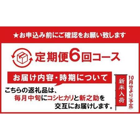 ふるさと納税 南魚沼産コシヒカリ・新之助5kg×6回 新潟県南魚沼市