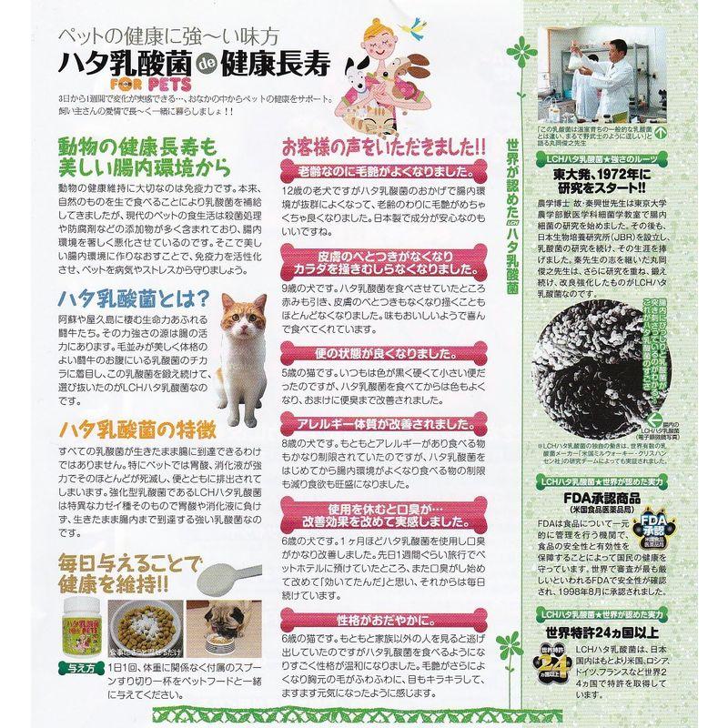 新品未使用 ハタ乳酸菌 FOR PETS 60g ×3個 - その他