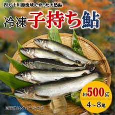 四万十川源流域　冷凍子持ち鮎　約500g(4～8尾) [個包装　高知 天然