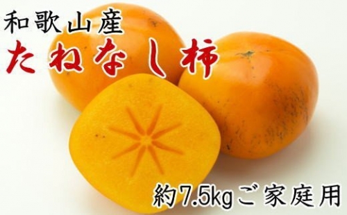 和歌山産のたねなし柿ご家庭用約7.5kg※2023年9月下旬～2023年11月上旬頃に順次発送