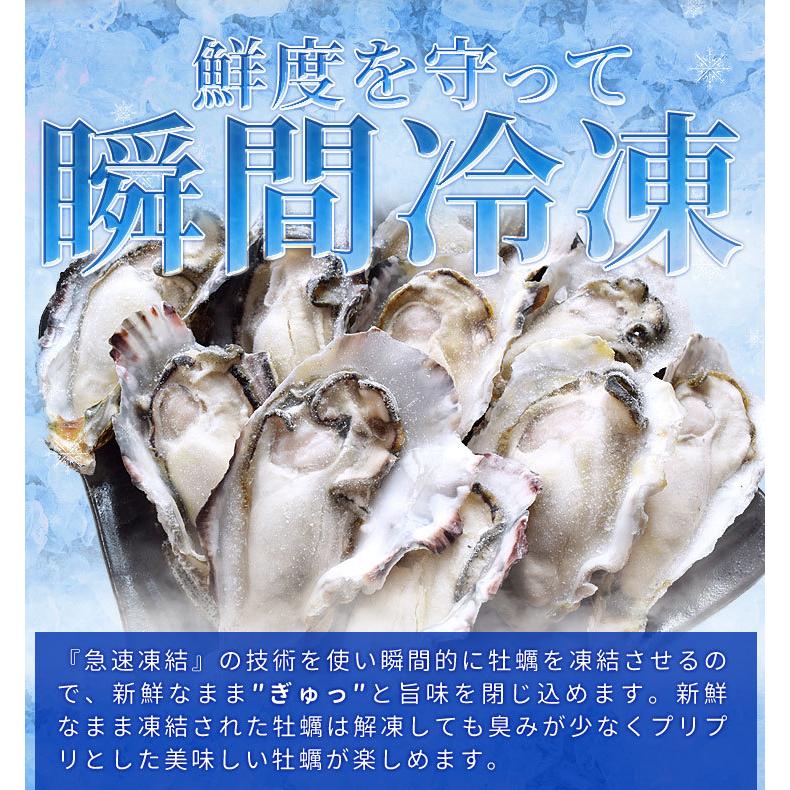 牡蠣 旬凍 生牡蠣 ハーフシェル １０個 生食可 送料無料 殻剥き不要 海鮮 バーベキュー 牡蛎
