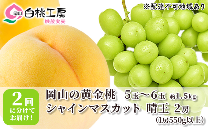 桃 ぶどう 2024年 先行予約 黄金桃 1.5kg シャインマスカット 晴王 2房 1房550g以上 2回に分けてお届け！もも 葡萄 定期便 岡山 国産 フルーツ 果物 ギフト 桃茂実苑