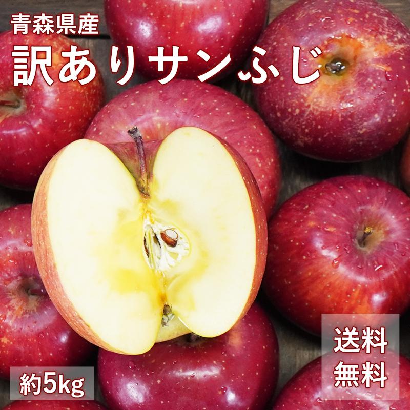 送料無料 青森県産 訳あり サンふじ ご家庭用約5kg 人気の訳ありリンゴ 家庭用 青森 青森産 訳あり サンふじ りんご 林檎 ふじ ks