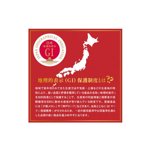 ふるさと納税 山形県 東根市 GI「東根さくらんぼ」佐藤錦1kgバラ詰め(500g×2ハ゜ック） 東根農産センター提供　hi027-085