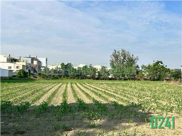 鹽水稀有715福吉8米路豪宅建地-大面寬好規劃｜台南市鹽水區歡雅