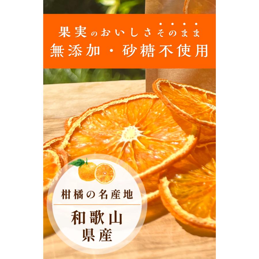 無添加 ドライフルーツ 紀六柑（かんきつ中間母本農６号） 紀伊路屋 和歌山 有田 20g