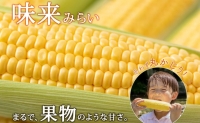 北海道産 とうもろこし 味来 計24本 L-2L サイズ混合 大きめ みらい 旬 朝採り 新鮮 トウモロコシ 甘い 夏野菜 とうきび お取り寄せ 産地直送 野菜 しりべしや 送料無料 北海道 倶知安町