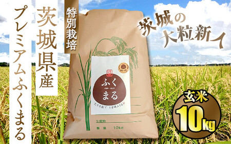 ☆茨城の大粒新人 プレミアムふくまる特別栽培米10kg