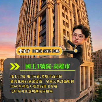 小王子AI影音空間主權超高樓雙車豪邸由你親自定義｜高雄市苓雅區民族二路