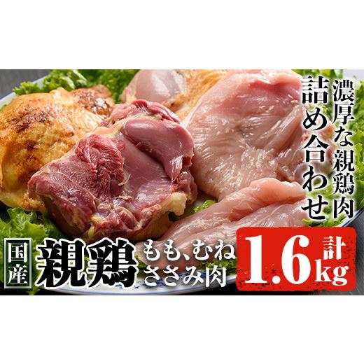 ふるさと納税 鹿児島県 曽於市 親鶏Ａセット合計1.6kg! 肉 鶏肉 詰め合わせ  A-21