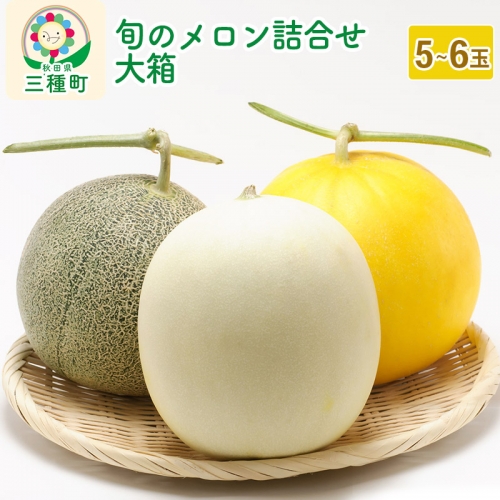 《予約》旬のメロン詰合せ 大箱 5玉～6玉 果物 フルーツ 秋田県産
