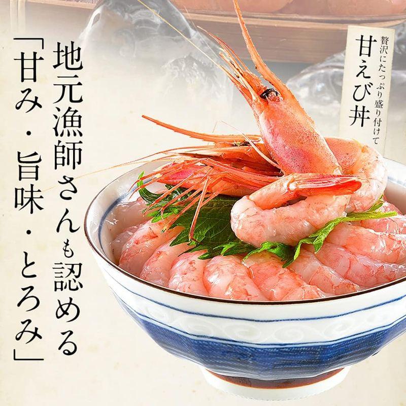 お中元 ギフト 港ダイニングしおそう 甘エビ 子持ち 特大サイズ 500g（約30尾入り） 刺身用 越前産 甘えび 海老 えび エビ 贈り物