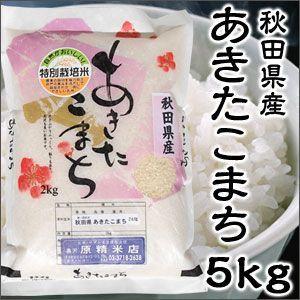 米 日本米 令和4年度産 秋田県産 あきたこまち 5kg