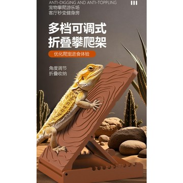 【台灣現貨】鬆獅攀爬 鬆獅曬背神器 蜥蜴攀爬 鬆獅曬背 蜥蜴曬背神器 小型蜥蜴曬背 鬆獅攀爬物品 鬆獅蜥曬背 造景