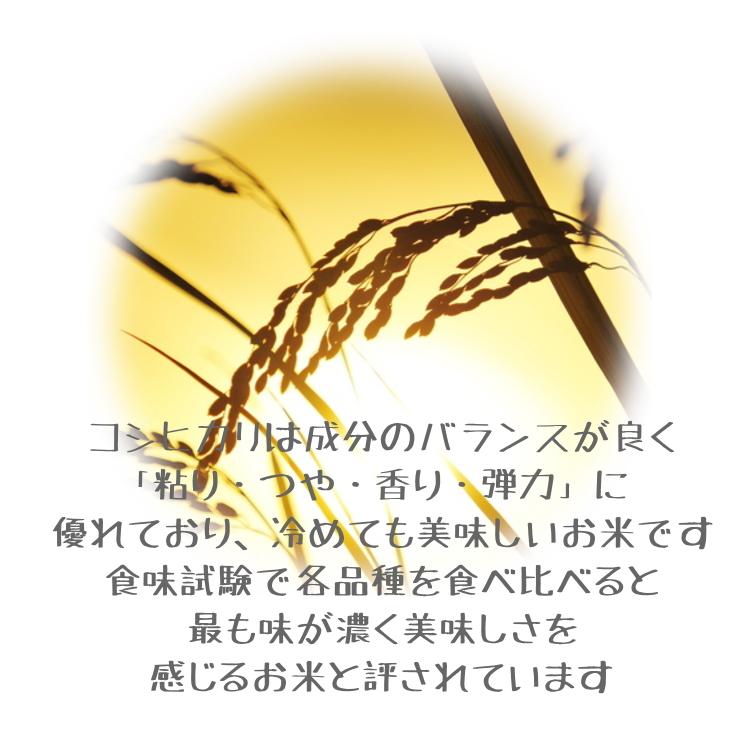 長野県産 コシヒカリ 白米 2kg 農家直送 送料無料 産地直送 美味しいお米 受賞農家 米食味鑑定士 東御市