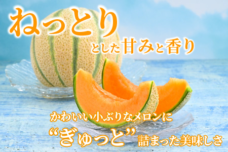 マルセイユメロン 2玉 約2.4kg（約1.2kg以上×2玉）大人気の赤肉品種！高級メロンの味わい ／ 果物 フルーツ ギフト 農家直送 ※2024年6月上旬以降順次発送