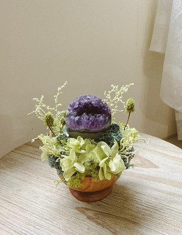 烏拉圭開口笑 紫水晶。小太陽 日日東昇 永生綠植栽