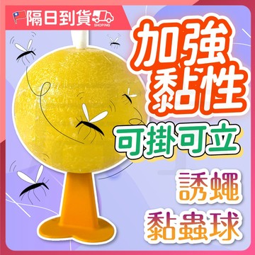 【防水耐曬🔥物理黏捕】黏蟲球 誘蠅球 誘蠅黏蟲球 黏蒼蠅球 超黏捕蠅球 捕蠅球 捕蠅板 捕蠅器 高黏性黏蟲球 果蠅黏蟲球