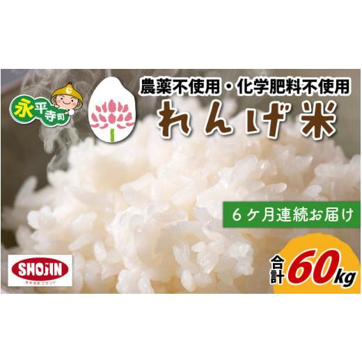 ふるさと納税 福井県 永平寺町 令和5年産 新米 農薬不使用・化学肥料不使用 永平寺町産 れんげ米 10kg×6ヶ月（計60kg） [K-002042]