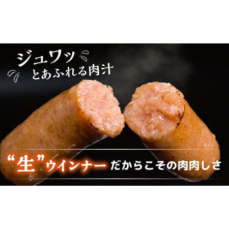 ふるさと納税 特製 生ハンバーグ 生ハム 生ウインナー 3種 セット 糸島市   志摩スモークハウス 肉 加工品 贈り物 [AOA028] 福岡県糸島市