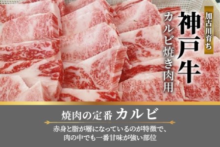 神戸牛（加古川育ち）カルビ焼肉用(600g)