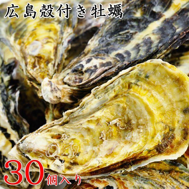 広島宮島産「殻つき生かき（牡蠣・カキ）30個」