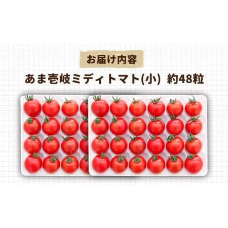 ふるさと納税 あま壱岐 ミディトマト 約48粒 《壱岐市》 トマト 野菜 [JAE009] 10000 10000円 1万円 長崎県壱岐市