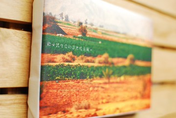 你必將生命的道路指示我