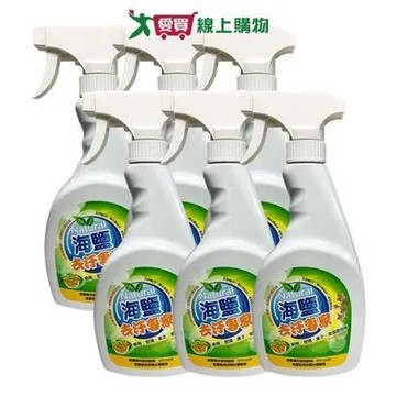 環寶靈 海鹽去汙專家 500ml(6瓶/組)
