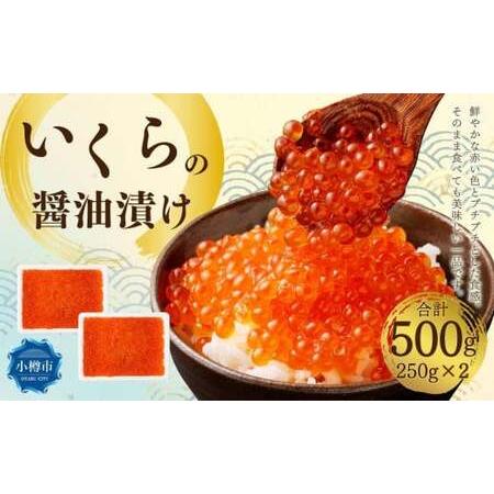 ふるさと納税 いくらの醤油漬け 500g (250g×2) 北海道小樽市