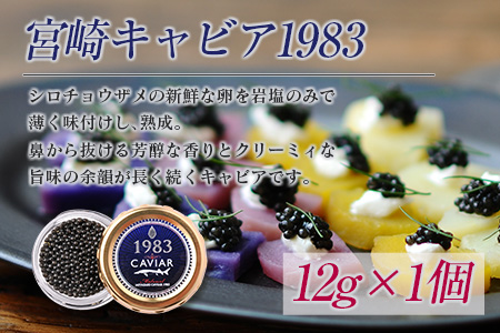 ≪数量限定≫キャビア2種食べ比べセット合計24g(12g×2個)　魚　魚介 GD2-22