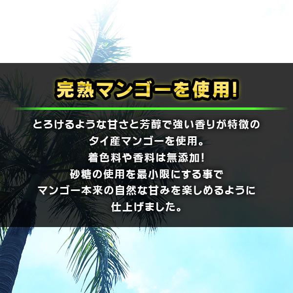 ドライマンゴー スライス プレミアム 着色料 香料 無添加 完熟マンゴー 送料無料　新発売　タイ　マンゴー　ドライフルーツ　肉厚