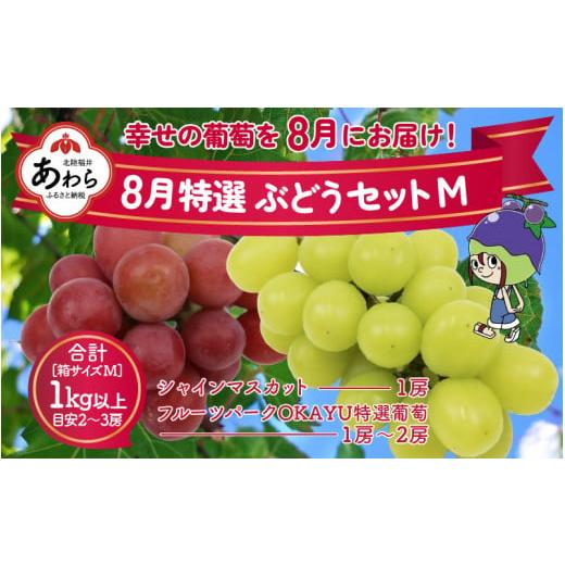 ふるさと納税 福井県 あわら市 8月特選 ぶどうセットM　1kg以上（2〜3房）／ 葡萄 シャインマスカット シャイン 品種 おまかせ あわら 農家おすす…