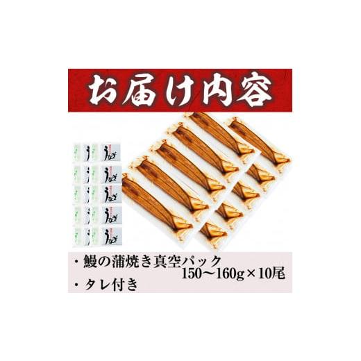 ふるさと納税 鹿児島県 志布志市 うなぎの大楠＜大＞10尾セット計1.5kg(150g×10) f7-001