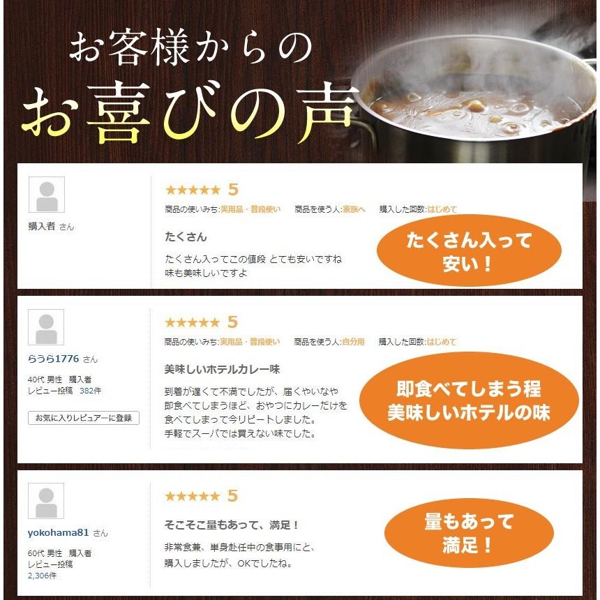 カレー レトルトカレー 2種10食セット スパイス 大阪風あまからビーフカレー6食＋野菜もしっかりビーフカレー4食 非常食 保存食 キャンプ飯 アウトドア