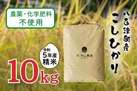 農薬・化学肥料不使用　オータニ農業の『コシヒカリ』精米10kg