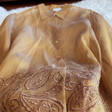 歐根緞襯衣夏真絲襯衫女透視2023刺繡洋氣時尚純色翻領桑蠶絲上衣