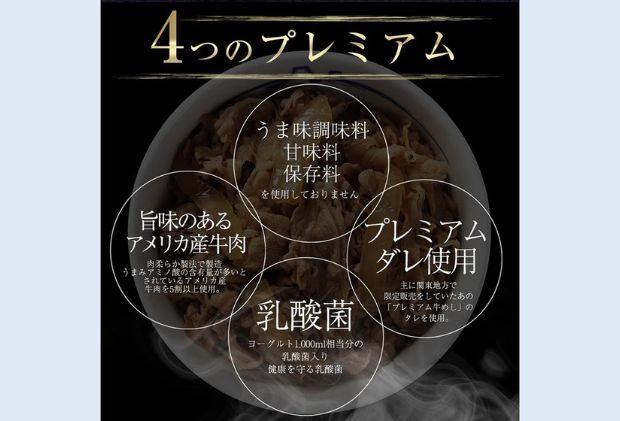 牛丼 松屋 乳酸菌入 プレミアム仕様 牛めしの具 10個 冷凍 セット