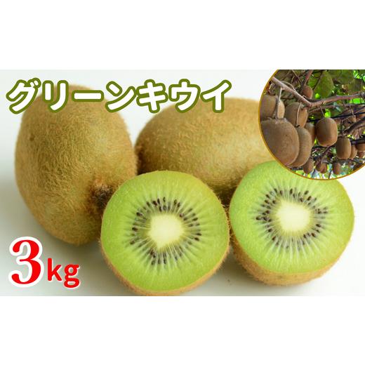 ふるさと納税 茨城県 鉾田市 グリーンキウイ　3kg