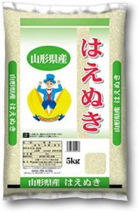  山形県産 白米 はえぬき 5kg 令和4年産