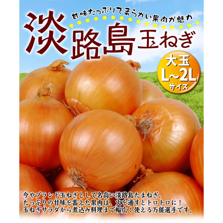 たまねぎ 10kg 淡路島産 送料無料 食品